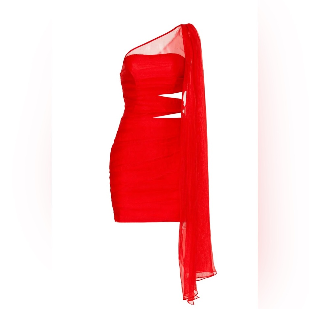 Like New Ashley Park x RTR Scene Stealer Mini Sz 4